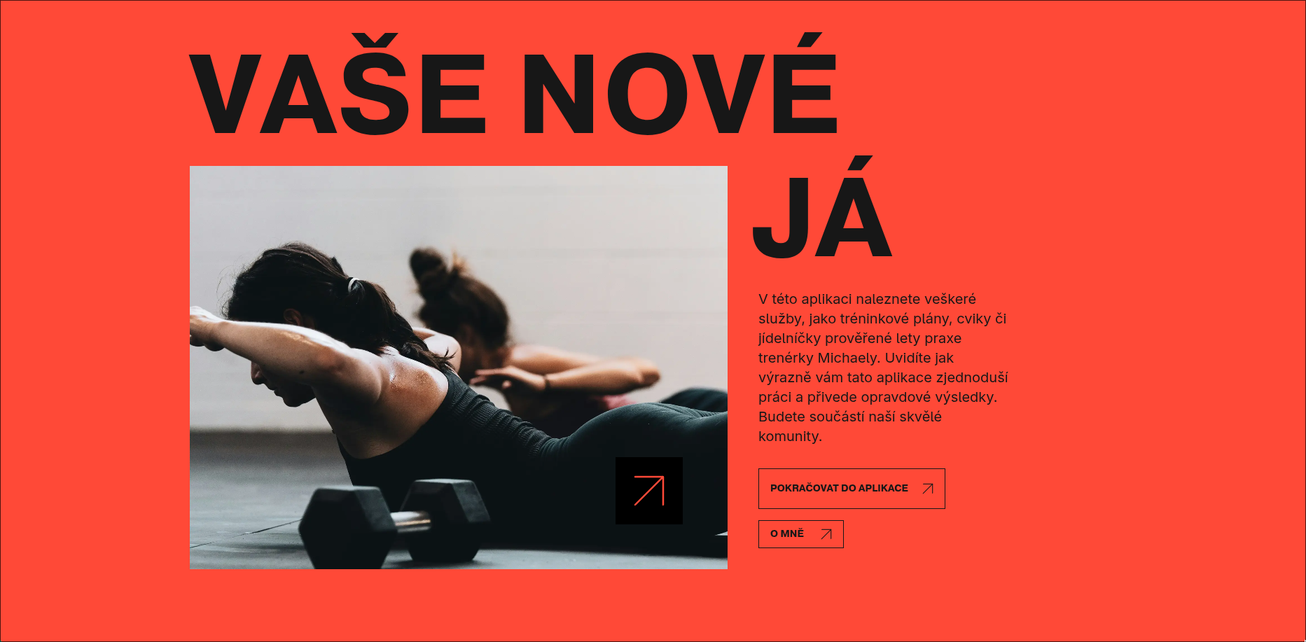 Webová aplikace Michaela T.